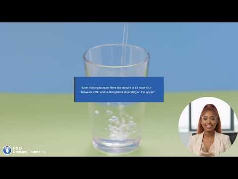 How to Choose the Right Drinking Fountain Filter (Avoid Costly Mistakes)