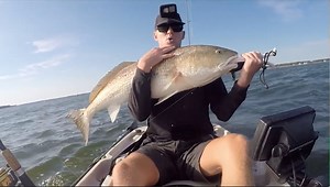 243 reactions · 11 shares | ‼ ATTENTION NC, SC & VA SALTWATER...