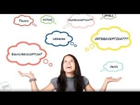 The 8 senses - InfOT