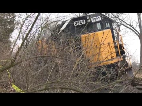 Local 4 News at 11 -- Feb. 18, 2026