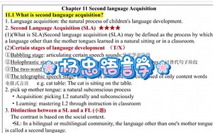 杨忠语言学 Chapter 11