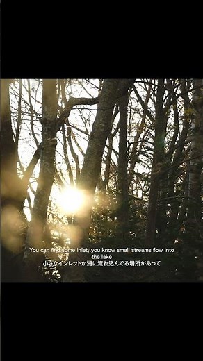 屈斜路湖でヒメマス釣り／湖畔で珈琲を／Nothing can beat Kokanee fishing with drip coffee in Lake Kussharo. #shorts