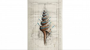 Drawing a Blue Spiny Shell: by Rafael Araujo... | Jamie Janover