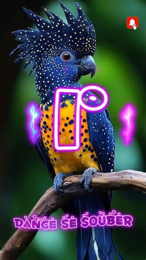 Dance se souber Tik Tok (2026)💜 #dancesesouber #melhoresdancinhas #2026