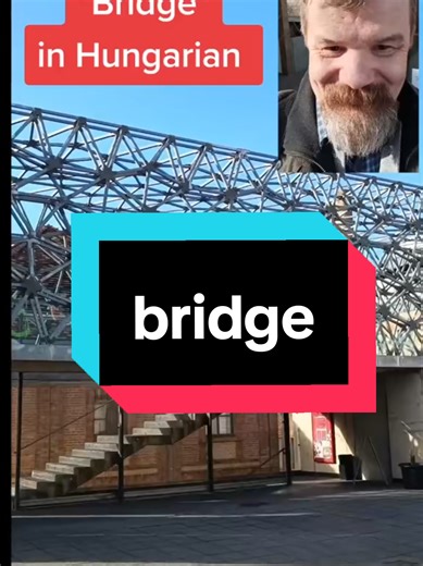 Learn the Hungarian Word for Bridge