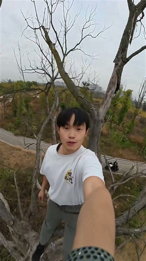 Seeing this tree triggers a passive skill.#stunt #parkour #funny #roblox #extreme #shorts #pov