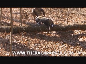 9.6K views · 51 reactions | The Rack Packer! The RackPacker | Big Buck Registry | Facebook