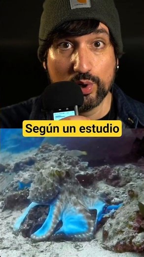 ⚠️ HAY ALIENS EN EL MAR ⚠️