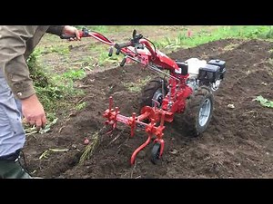 Cultivating Garden with Two Wheel Tractor