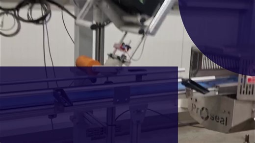 💥Successful installation of the first Proseal CP3 case-packing machine in Ireland! 🍓This strawberry packaging line at Greenhill Fruit Farm Wexford consists of a GT1s tray sealing machine… | JBT Marel Proseal