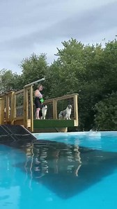 4.6M views · 3.7K reactions | Keller gives everything her all  | Keller and Company | Facebook