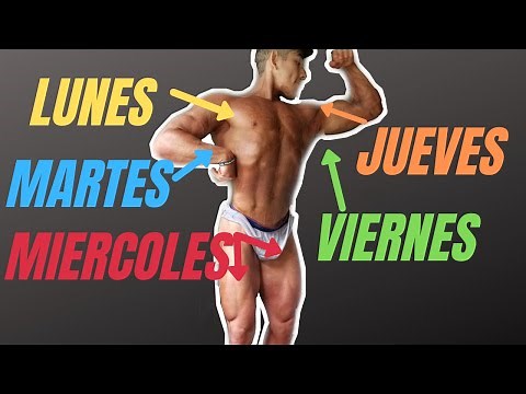 QUE MUSCULO ENTRENAR CADA DIA DE LA SEMANA - [EJEMPLOS]