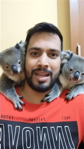 me with youtube Koala crawl AI filter #shorts