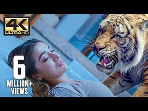 Tiger in the house | Mirugaa | 4K (English Subtitle)