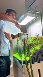 49K views · 552 reactions | Here’s a response that fits the “topping off” theme: "Topping off the tank for a fresh look!  Keeping the aquascape in perfect balance. #Aquascape #PlantedTank #Aquarium #Florida #FYP #Plants #PlantsofTikTok" This keeps it simple and emphasizes maintaining a healthy tank. How does that sound? | Steven Huskisson Fan | Facebook