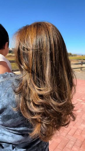 Brown Hair with Honey Highlights | Stunning Transformation