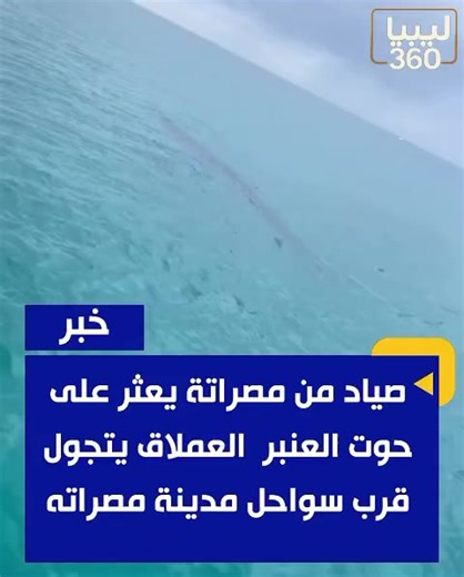 صيد وحوت العنبر في ليبيا