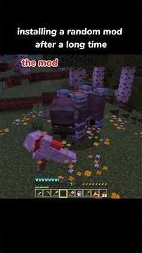 installing a random mod after a long time 😄#minecraftshorts #ytshorts