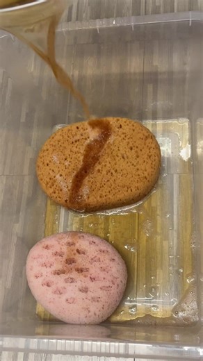 Soaked Sponges ASMR: Cleaning Sounds for Stress Relief