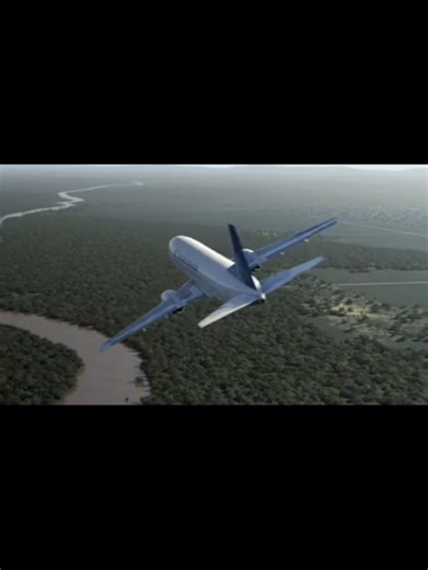 Tragedi Garuda Flight 421: Insiden yang Mengejutkan