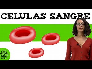 Blood cells 🩸 what are they?