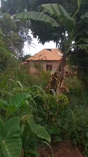 40 decimals land for sale location Nakawuka town Entebbe price:120 million ugx