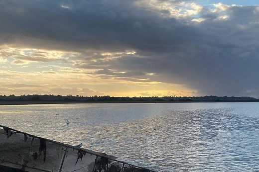 Kingroyal Giriş Portalı — Kingroyal Mart 2026 Bağlantısı