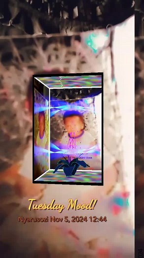 aline sano on TikTok