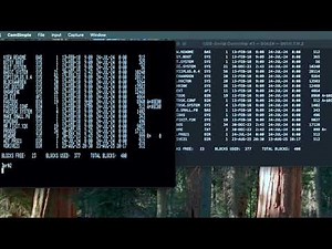 Apple IIc Serial Console Fun