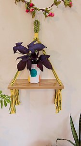 58K views · 665 reactions | এক্কেবারে রিজেনেবল প্রাইসে দারুণ একটা শেলফ। দাম শুনলে চোখ কপালে উঠবে ☘️☘️ #bookshelf #shelf #InternationalCrafts #househacks #buyers #interiordesign | চতুর্ভুজ -Choturvuz | Facebook