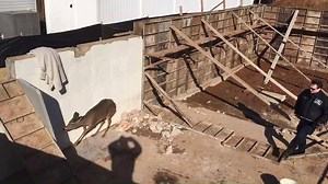 On Feb 19, Supervising Animal Control Officer Mark Byrnes and Animal Control Officer Chris Breiner responded to the scene of a deer in need of rescue in a construction site in in one of our towns. Overnight, the deer had managed to trap herself in an unfinished foundation with no way out. As you can see from the video, the panicked animal was secured without injury or use of tranquilizers and then was lifted out of the foundation and safely released into the nearby woods. A big thank you to Mark