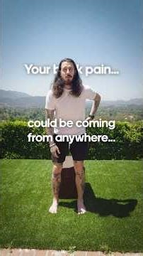 Your back pain could be coming from anywhere…