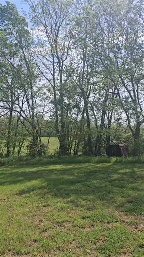 @beat the creek is about to get popping. | RC Addict