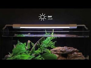 LUMINUS - SMART LED CONTROLLER