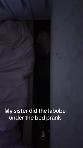 Hilarious Scared Reactions That Will Make You Laugh