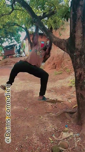 amusement de Dams comedien