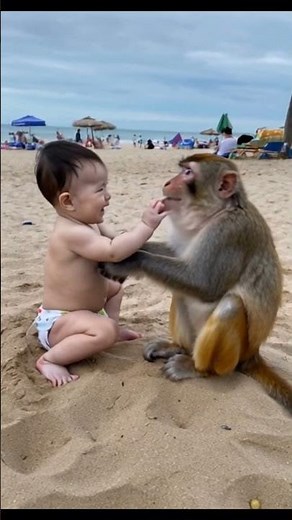 Touching Moment: MONKEY Plays with a Human Baby