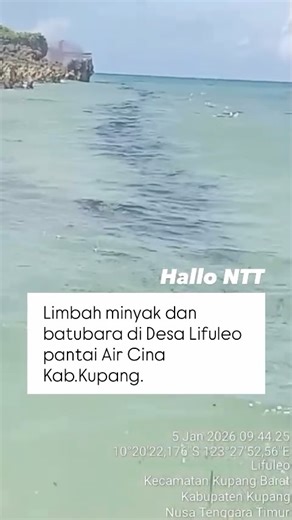 Hallo NTT on Instagram: "🤔🤔🤔 #hallontt"