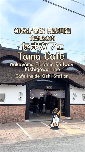 Wakayama Electric Railway Kishigawa Line Kishi StationCat Stationmaster #たま駅長 #貴志川線 #和歌山電鐵 #モモンちゃん