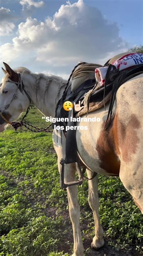 Videos de wachis (@wachis.ss) con “original sound - musixmixedits”