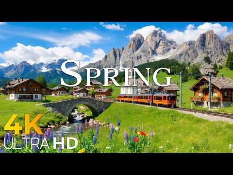 Spring in the Swiss Alps 4K • Blooming Valleys & Fresh Mountain Air | Nature Relaxation Film