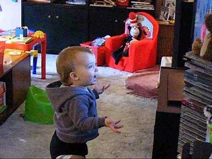 Lion HIGHLY recommends BABY EINSTEIN'S 'Neighbourhood Animals'!