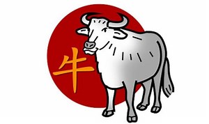 Ox Chinese zodiac sign traits: What it means to be an Ox