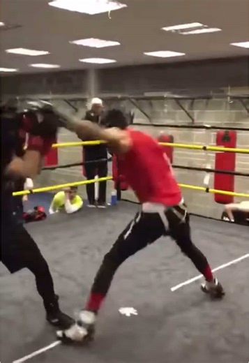 Sparring Moments from 2017 in Belfast