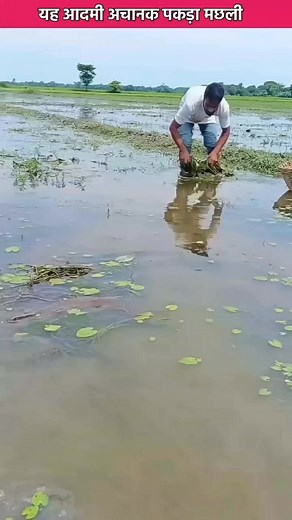 😱 Bahot hi khatarnak jnvar hai 🤯😱 dekho 🤯🤯😱🤯😱🤯😱😱😱😱😱 Wait for end ~ miniwood toy -woodworking art skills/hands craft #short-shorts #short #shortsvideo #dailygyan #reels | Gyan Facts