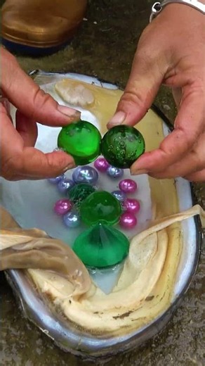 Several large pearls bloomed from the river clam