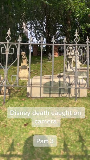 Investigating the Tragic Disney World Incident: Mickey Mouse Caught on Camera