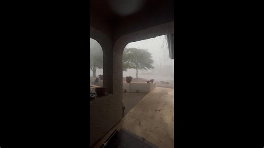 Phoenix Monsoon Storm Knocks Down Tree