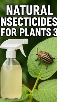 Natural Insecticides 3