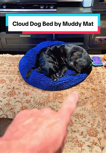 If your dog brings half the outside world inside, this Cloud Dog Bed by Muddy Mat is a game changer. The plush, cloud-soft fabric is designed to trap dog hair, dirt, and debris while your pup lounges, keeping your floors, couch, and carpets cleaner. It is perfect for muddy paws, heavy shedders, and dogs that love to sprawl out and nap hard. #dogbed #muddymat #pethair #dogparents #labsoftiktok